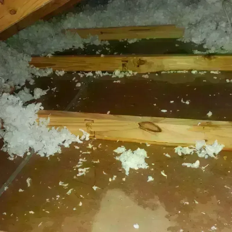 Attic Water Damage in West Coon Rapids, MN