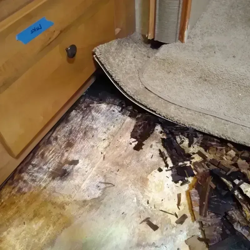 Wood Floor Water Damage in West Coon Rapids, MN